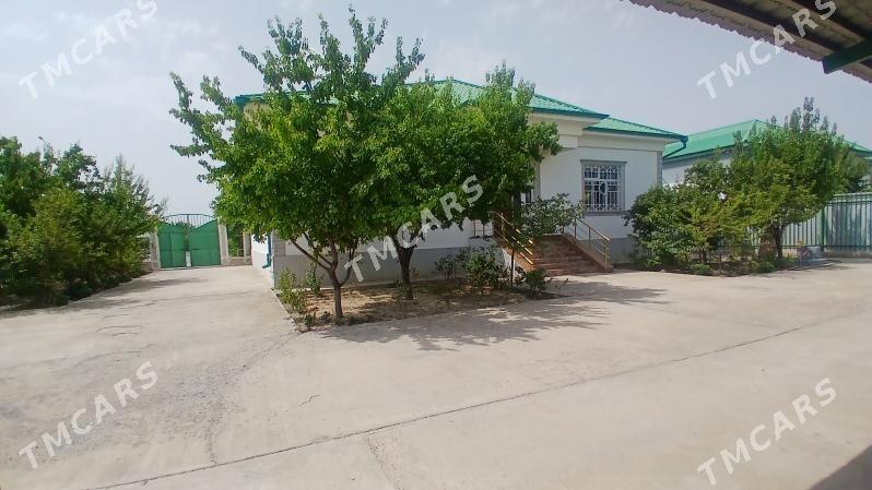 taze zaman satlyk jay - Тязе заман - img 5