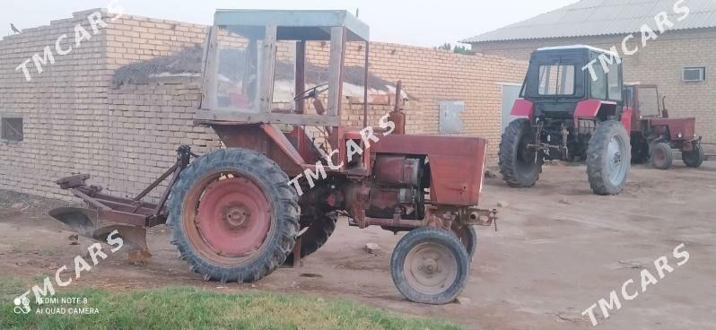 MTZ 80 2002 - 20 000 TMT - Sakarçäge - img 3