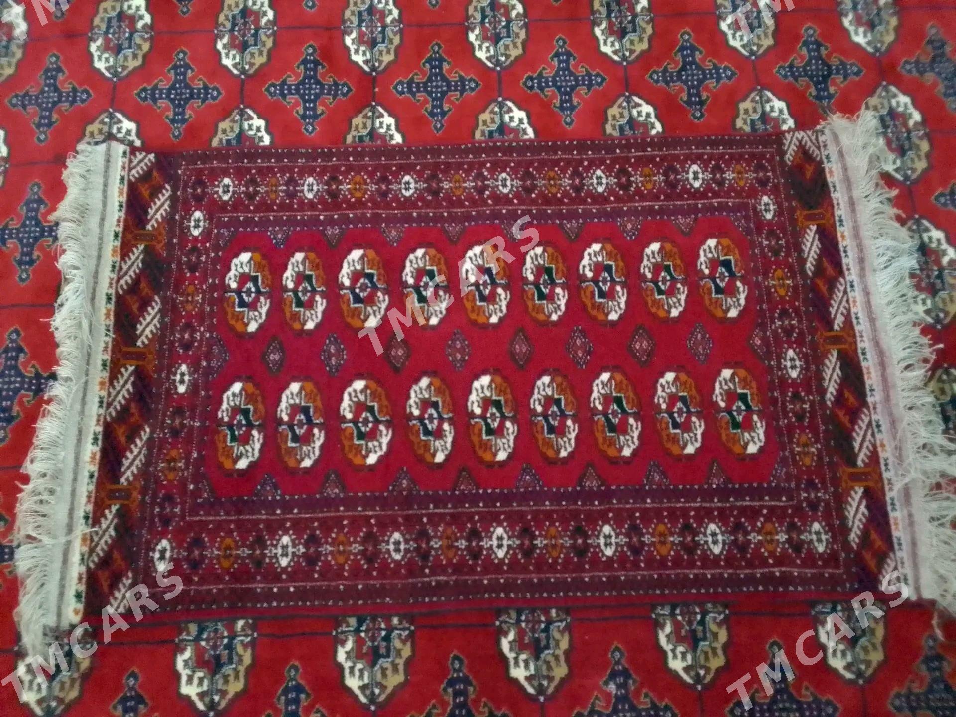 haly - Gyzylarbat - img 3