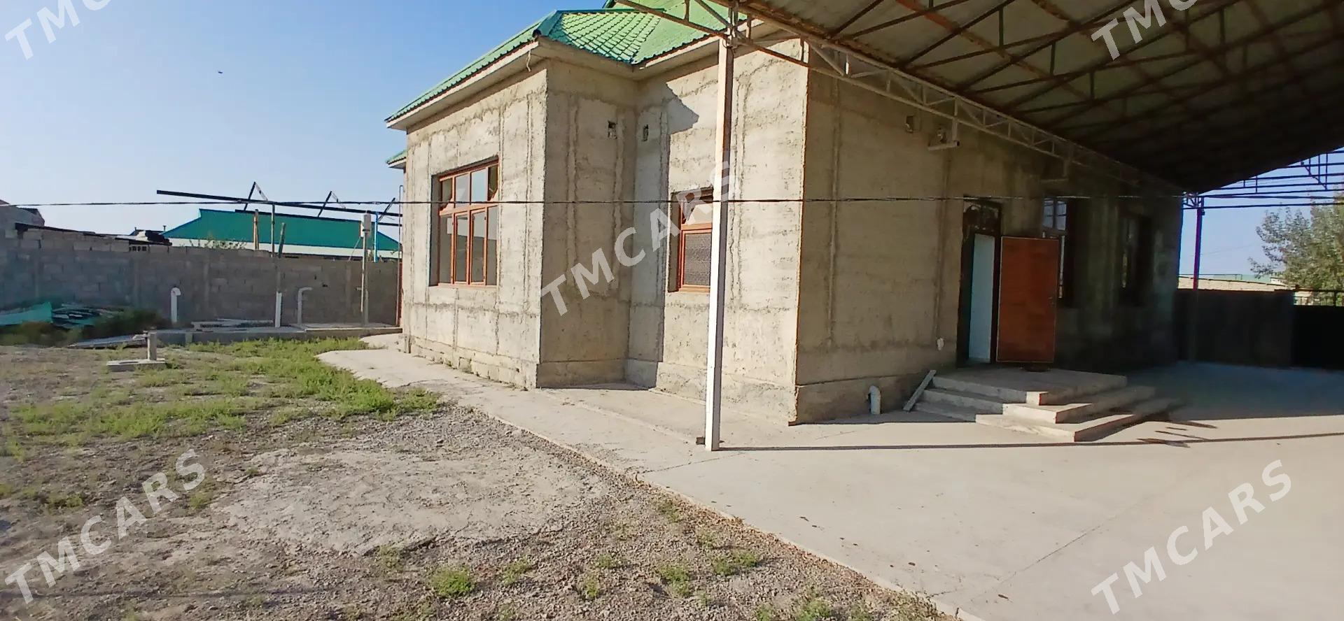 Şorgala Jay, Шоргала дом - Gökdepe - img 3