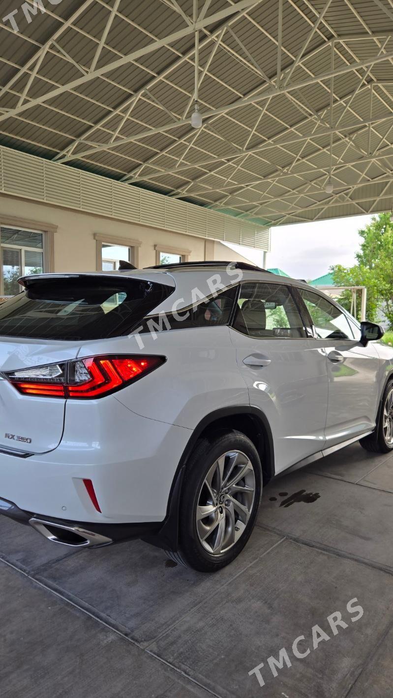 Lexus RX 350 2019 - 565 000 TMT - Ашхабад - img 10