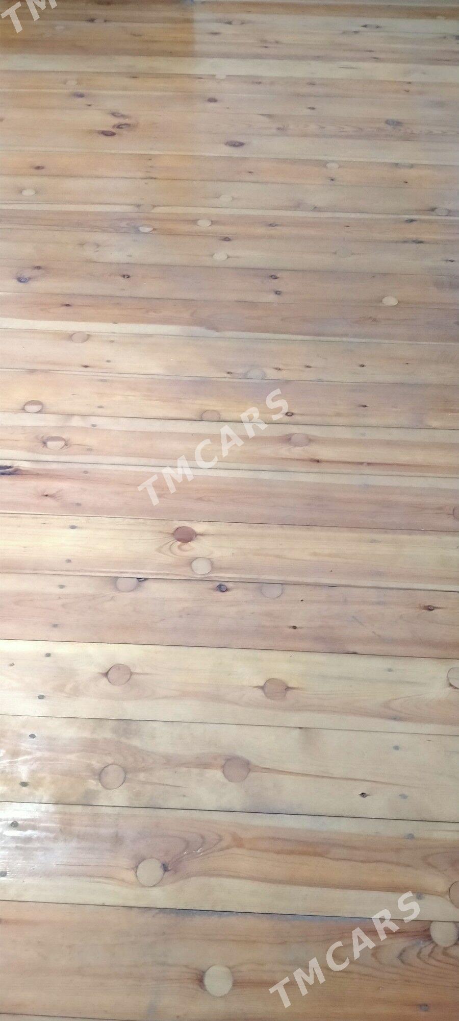Pollar - Murgap - img 2