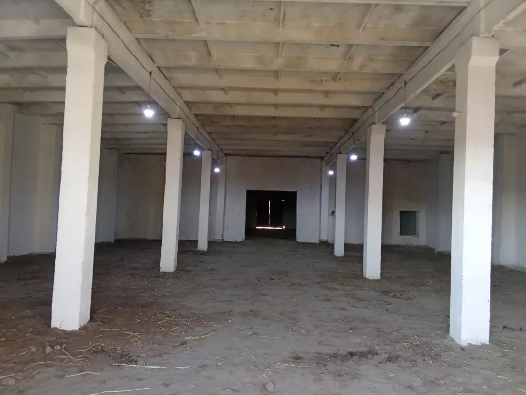 ARENDA ŸER, ZDANIŸA - Boldumsaz - img 2