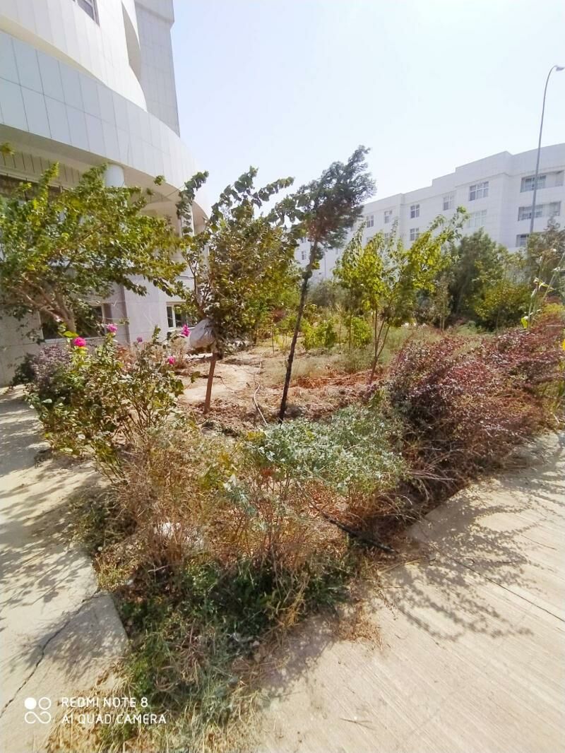 Satlyk Gurtly Padwal Hususy - Aşgabat - img 2