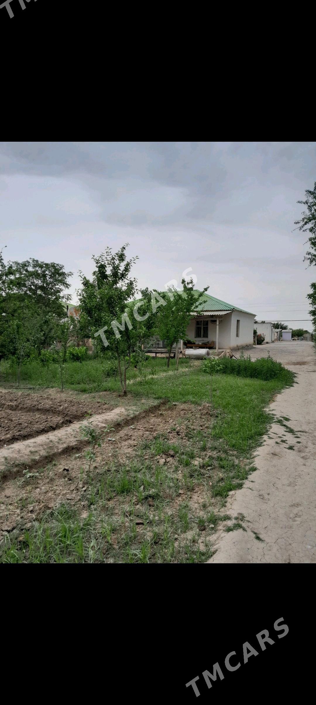 Plan 4 kom jaý - Ак-Бугдайский этрап - img 2