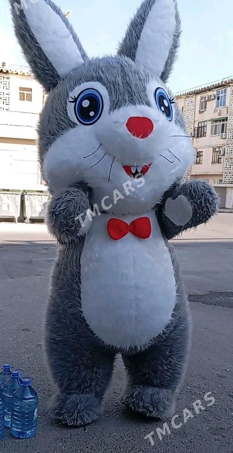 Anmator,mişka,panda,garila,aýy - Aşgabat - img 10