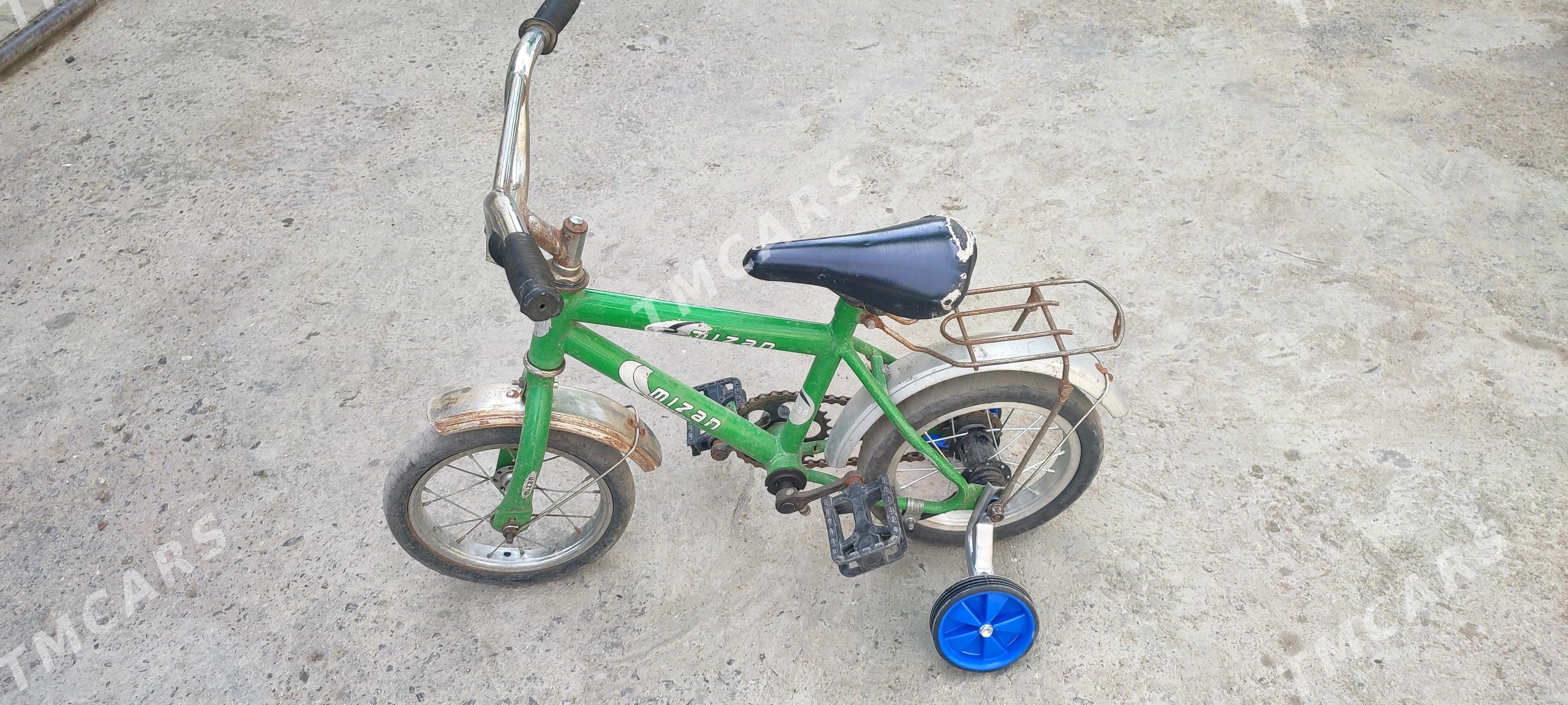 kici caga tigir 12lik gyssagly - Bedew - img 2