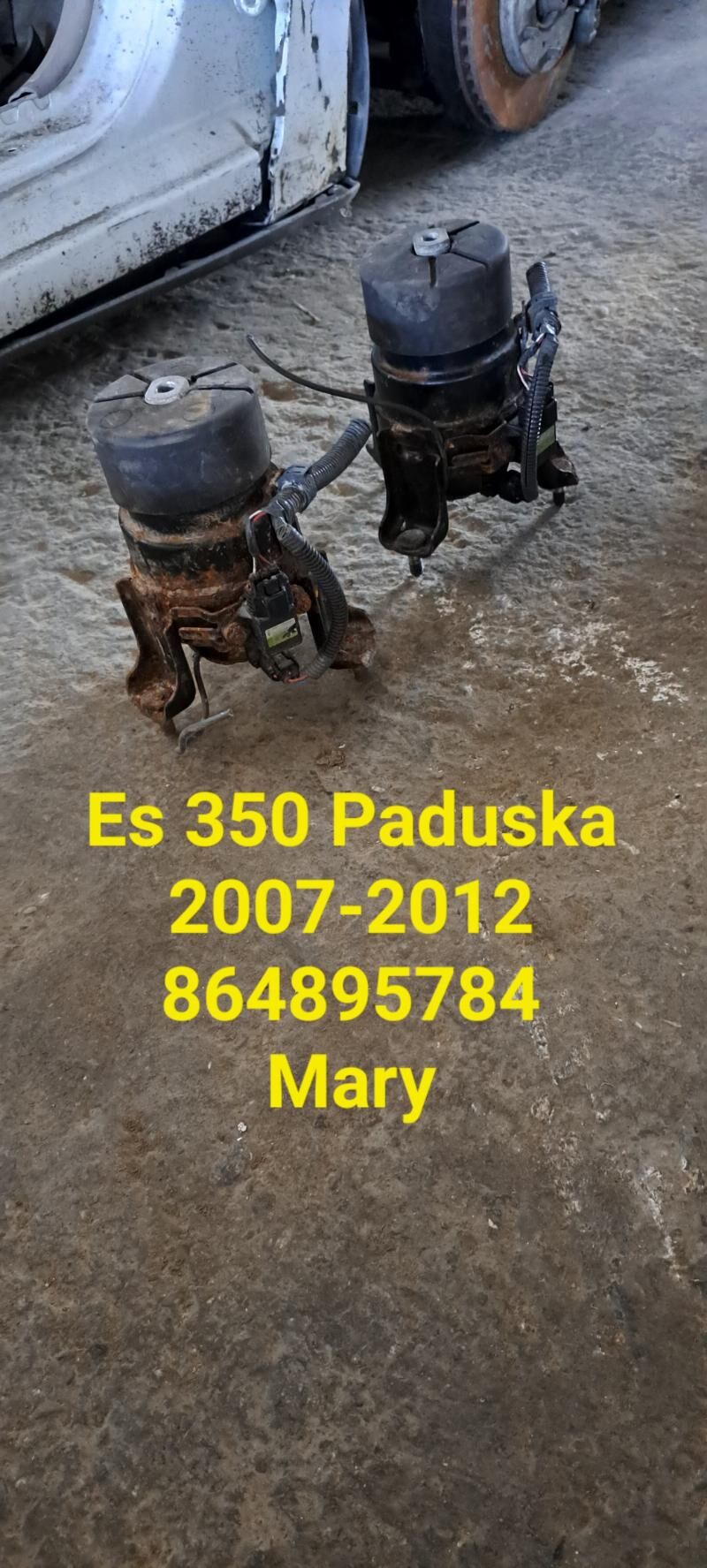 Babcka tokly bakawoy 900 TMT - Мары - img 7