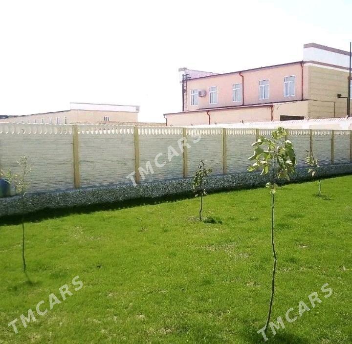 Beton Zabor (Haýat) - Hojambaz - img 3