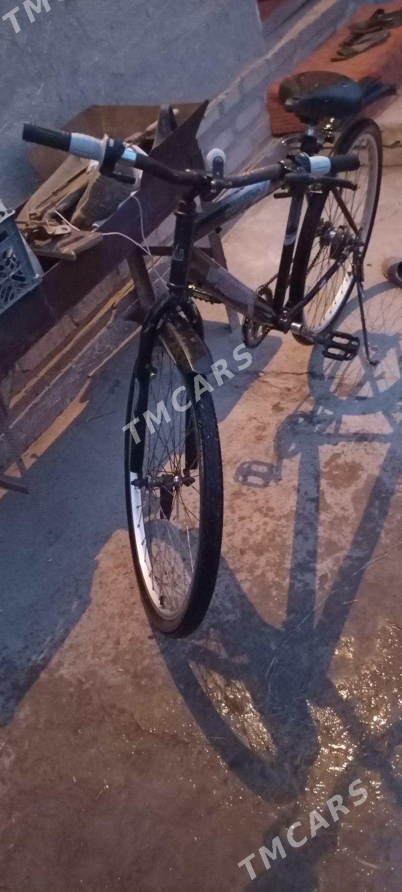 welik - Şabat etr. - img 2