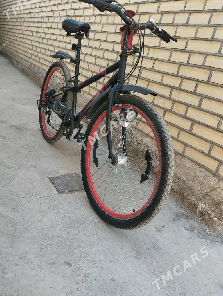 yapanusky 26 lyk - Мары - img 2