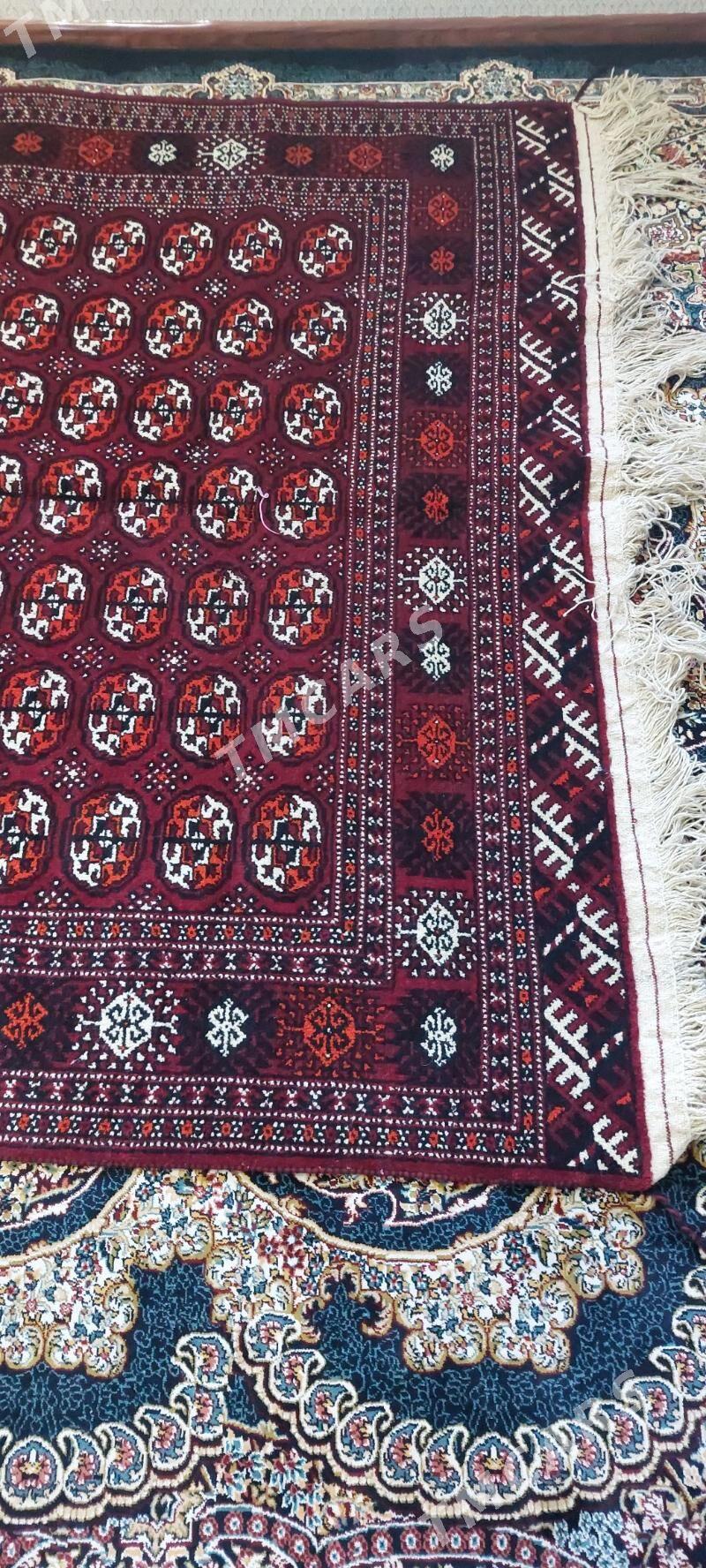 Haly - Aşgabat - img 2