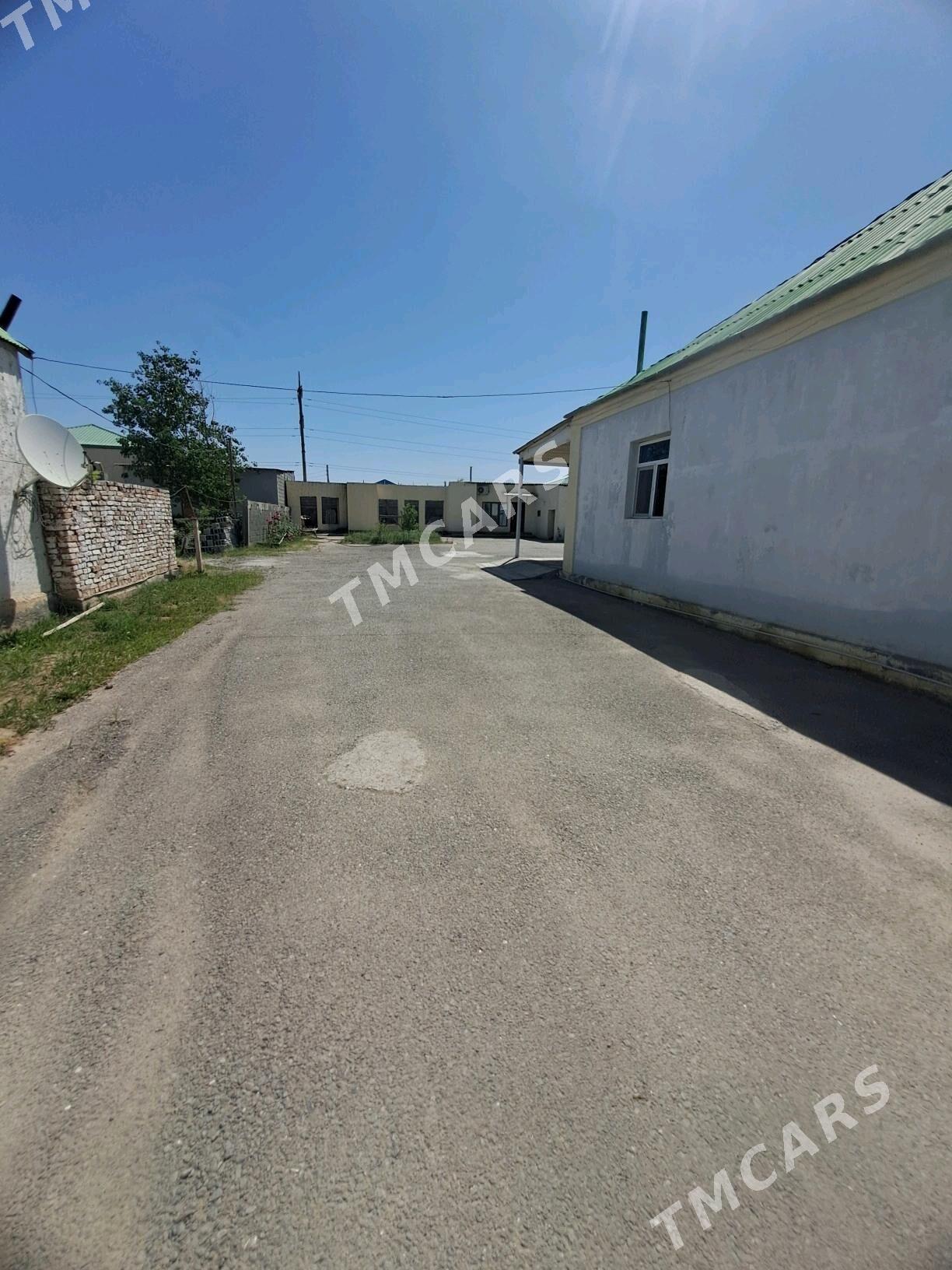 GARADAMAK. SATLYK JAŸ - Ашхабад - img 6