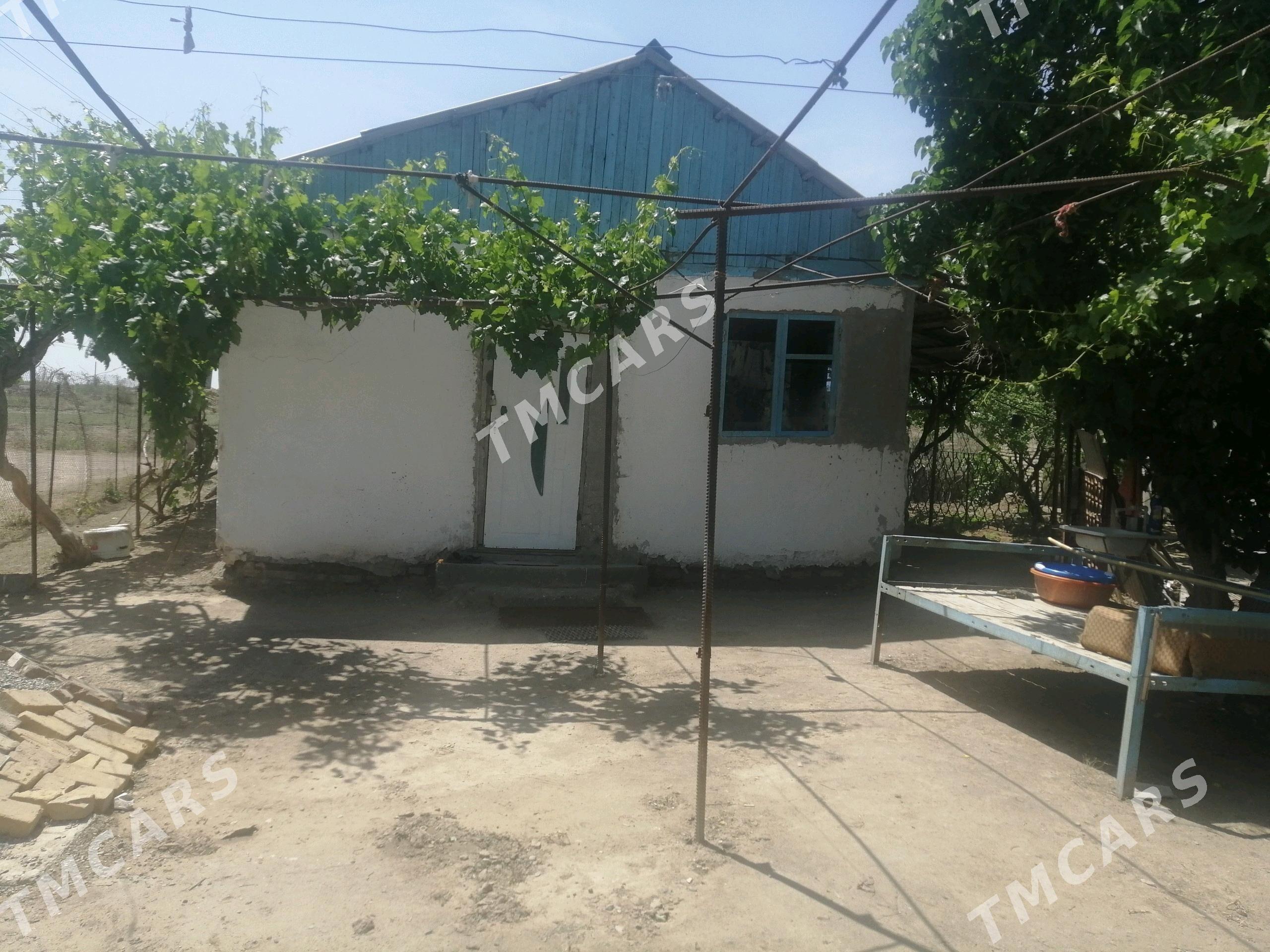 Satlyk dacha - Seýdi - img 10