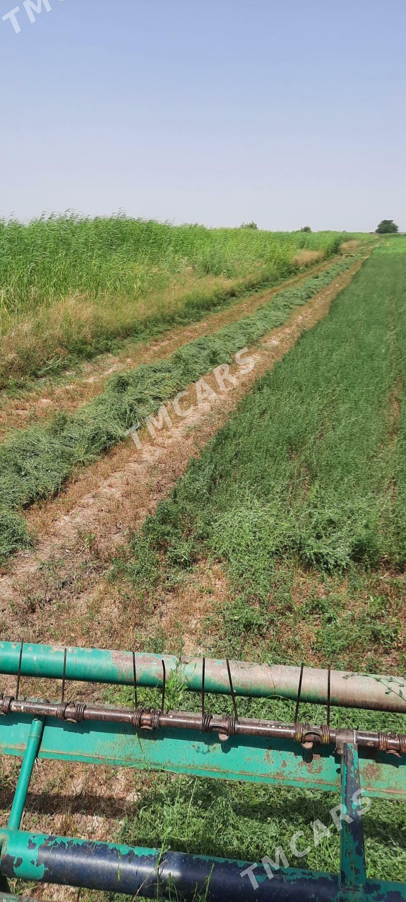 Belarus 80.1 1997 - 170 000 TMT - Ак-Бугдайский этрап - img 2