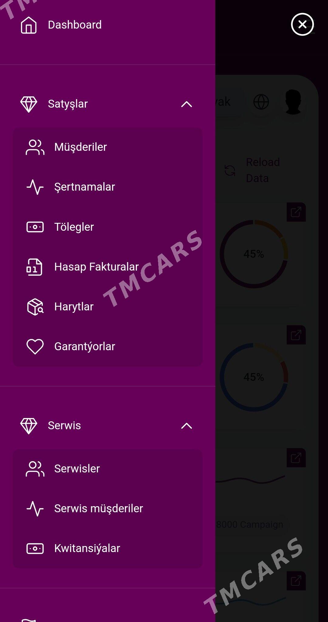 Logo tiger Garaşaryna ERP Saýt - Ашхабад - img 3