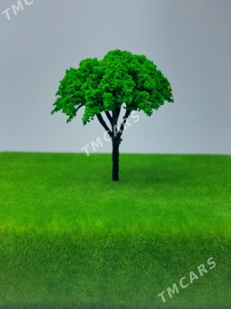 maket ucin agaclar - Ашхабад - img 6