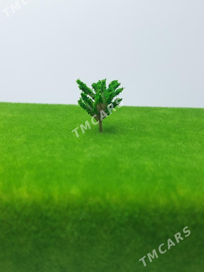 maket ucin agaclar - Ашхабад - img 3