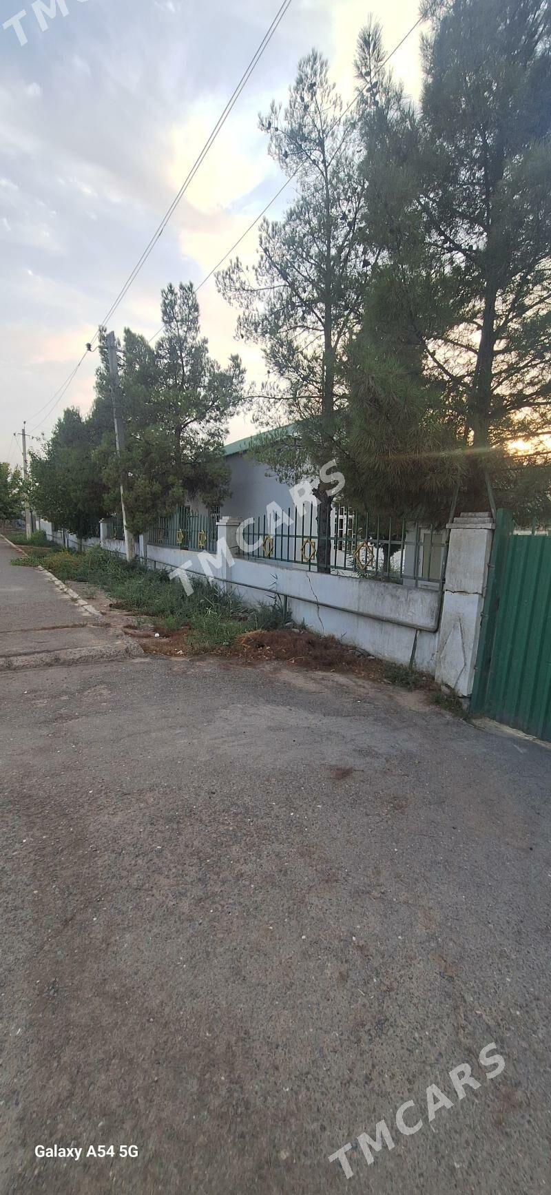 Ruhabat (90-njy razýezd) - Ruhabat (90-njy razýezd) - img 4