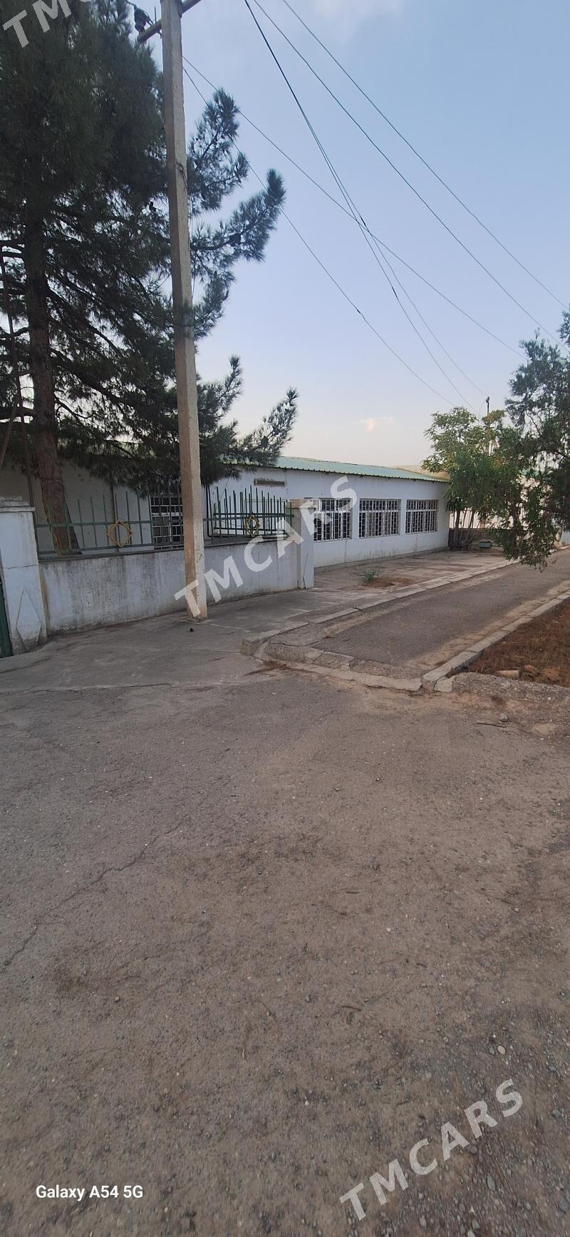 Ruhabat (90-njy razýezd) - Ruhabat (90-njy razýezd) - img 3