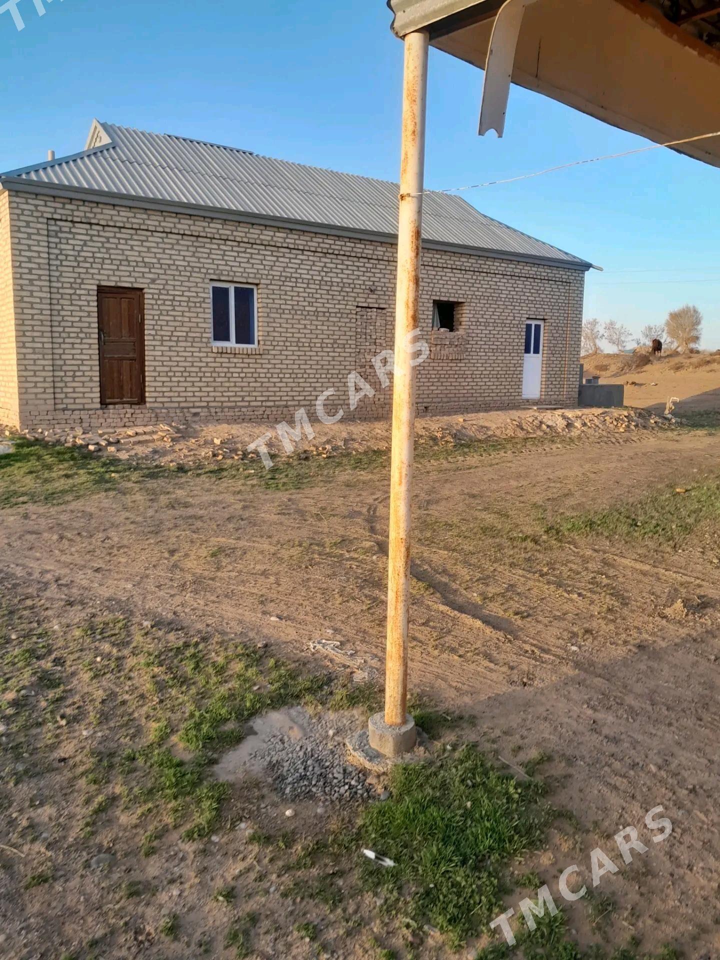 Satlyk jay Rahat Çöl oba. - Ёлётен - img 10
