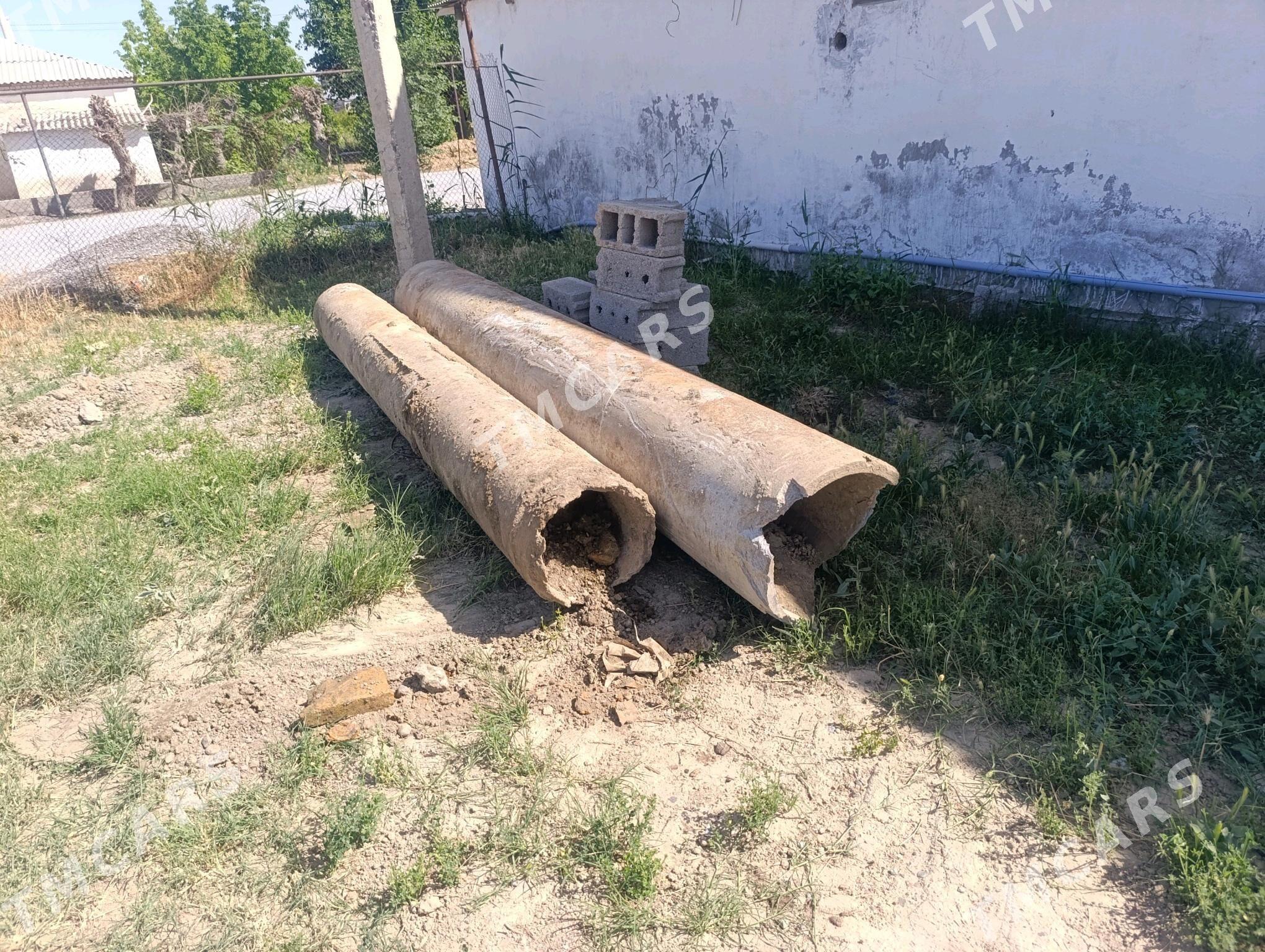 Aziwis turba - Gökdepe - img 2
