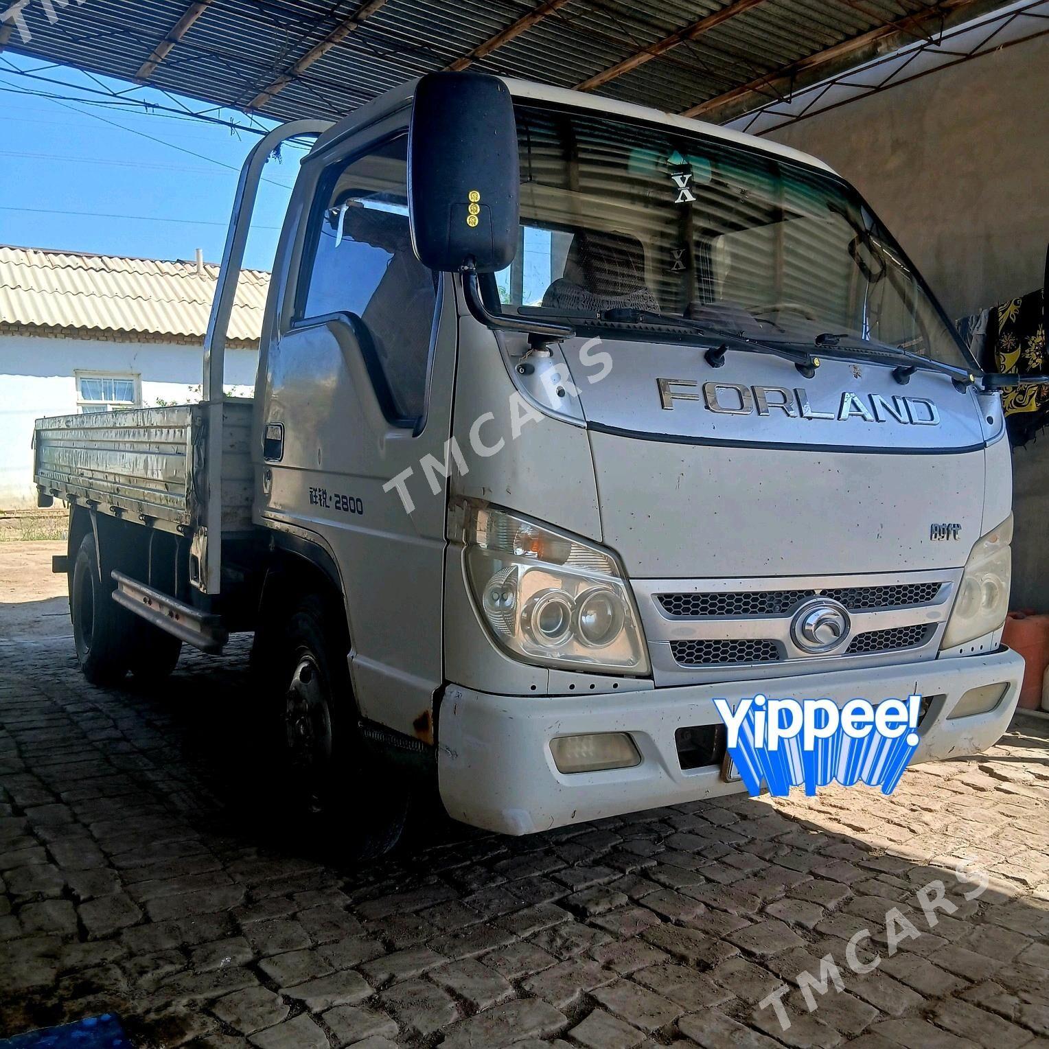Forland H2 2013 - 120 000 TMT - Ёлётен - img 4