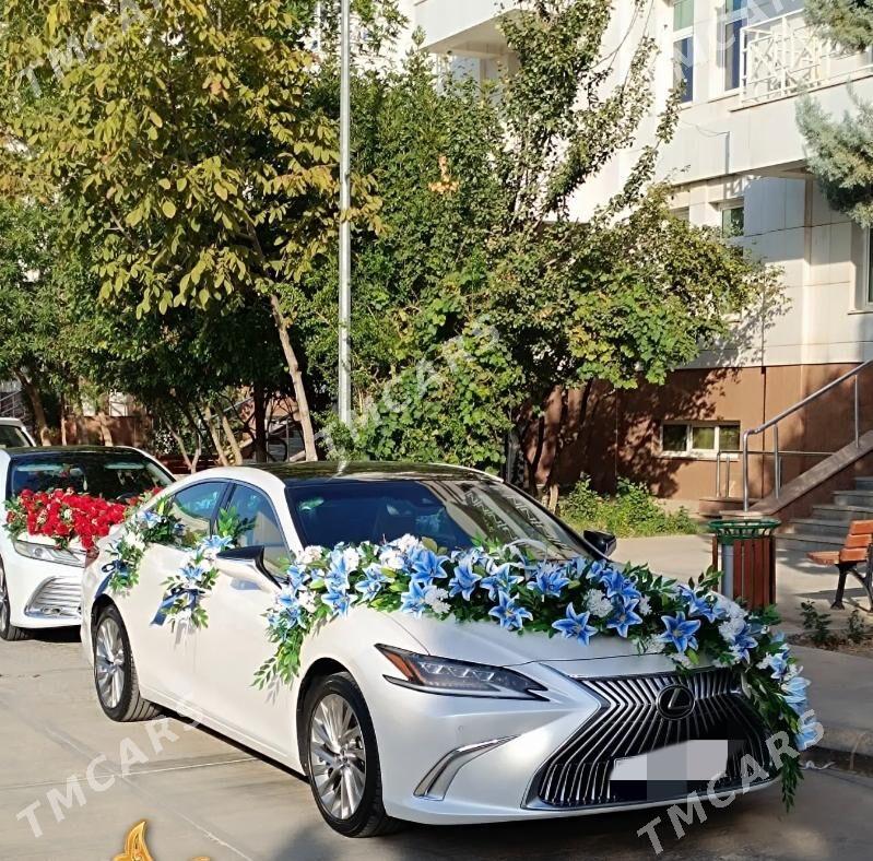 AGŞAM TOÝ GELNALJY MASYN BEZEG - Aşgabat - img 5