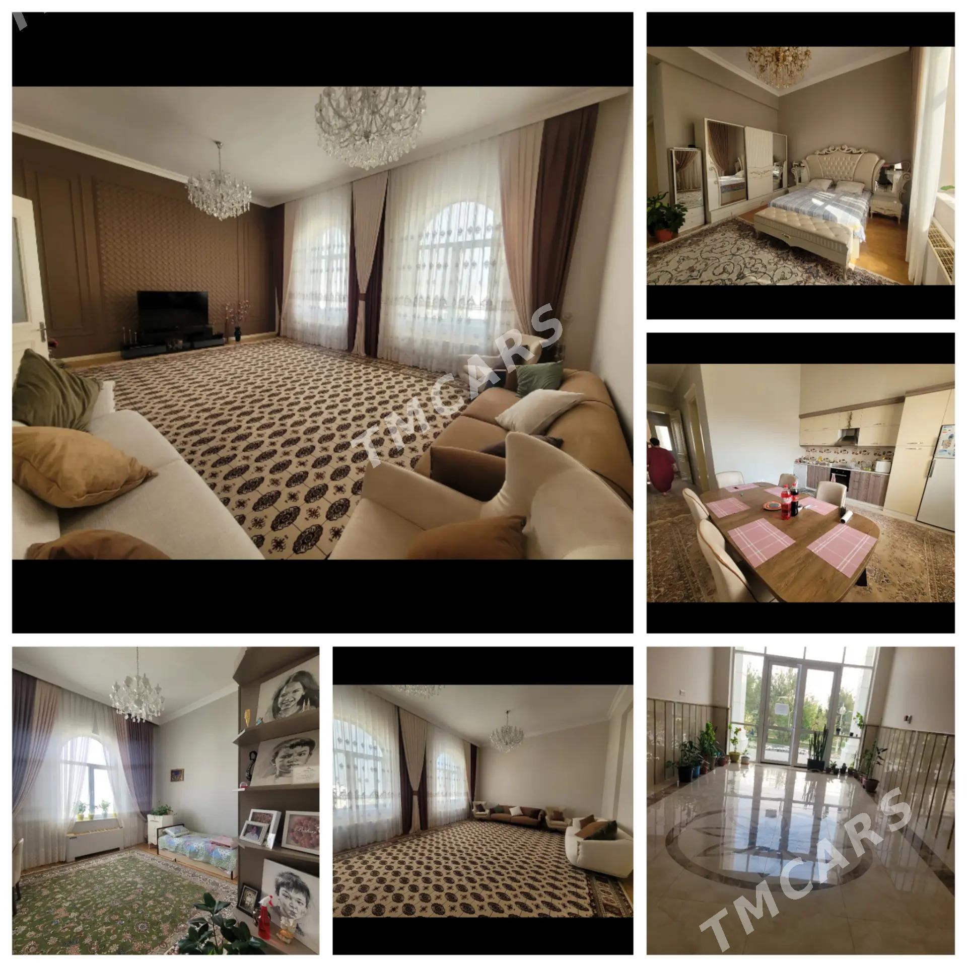ПРОДАЖА ЭЛИТКИ - Aşgabat - img 1