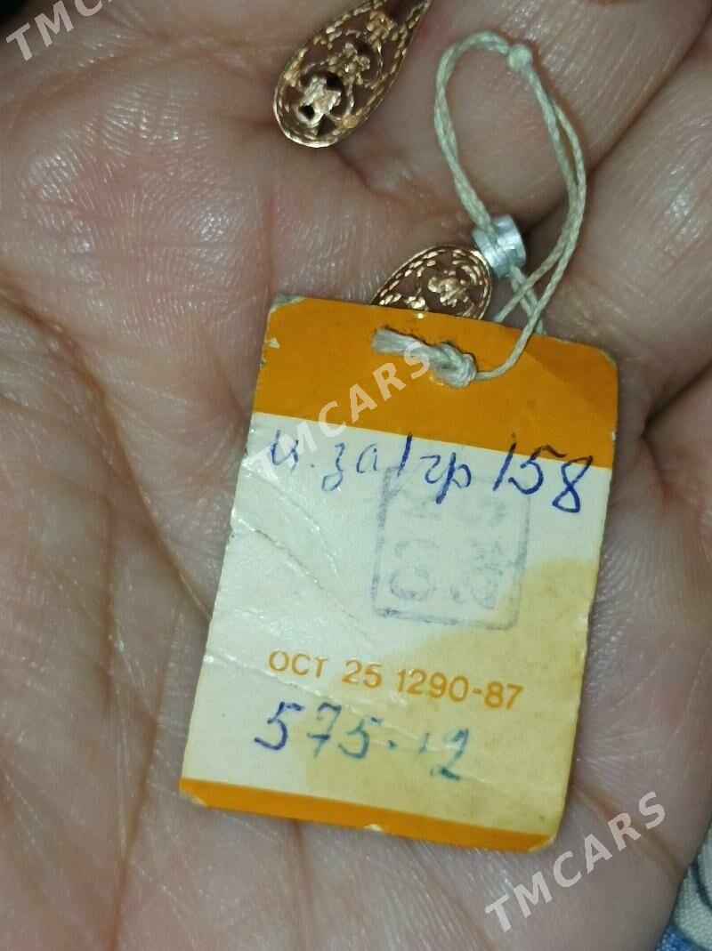 Rossiyskiy guyma gyzyl taza. - Daşoguz - img 1