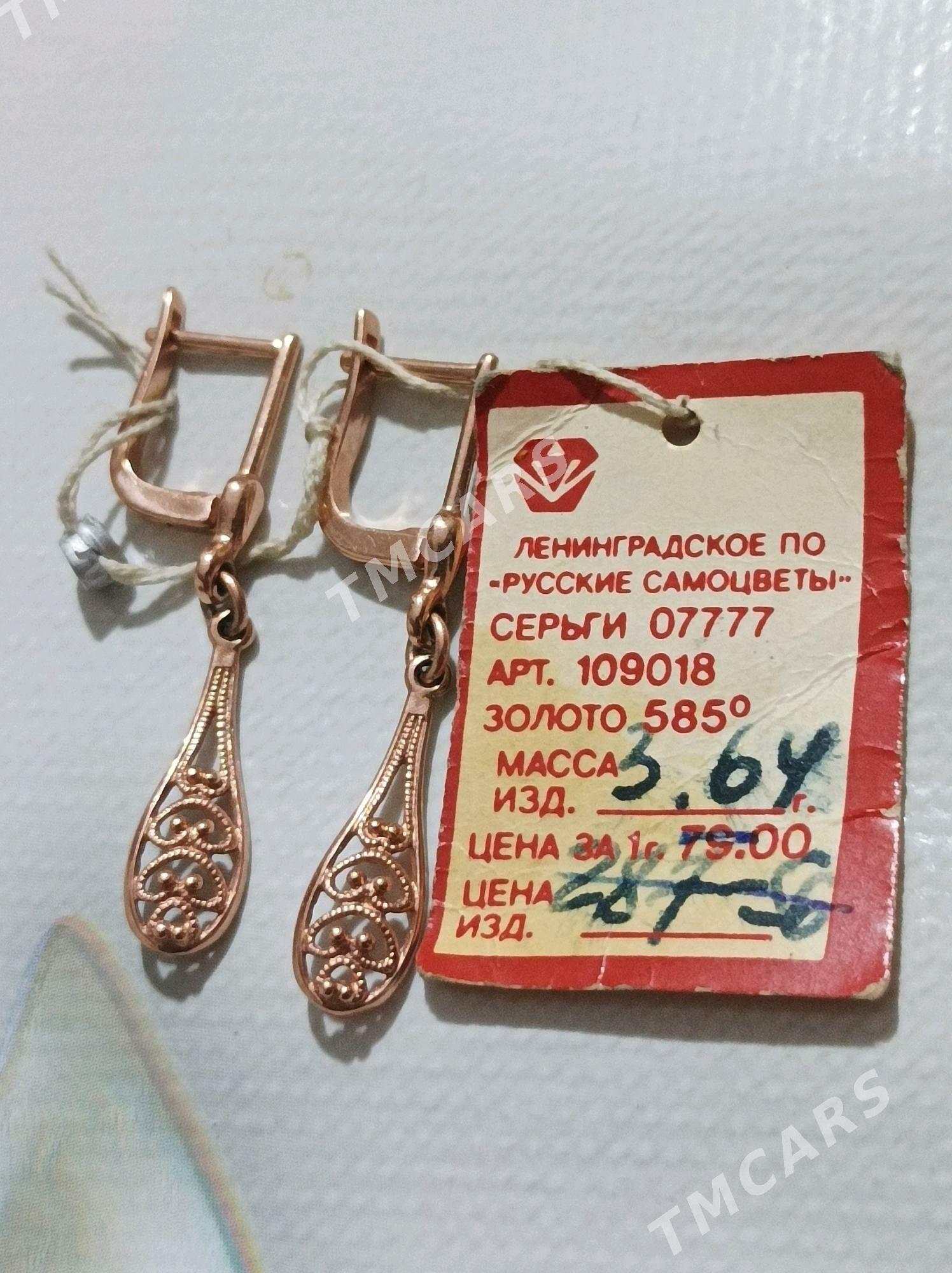 Rossiyskiy guyma gyzyl taza. - Daşoguz - img 3