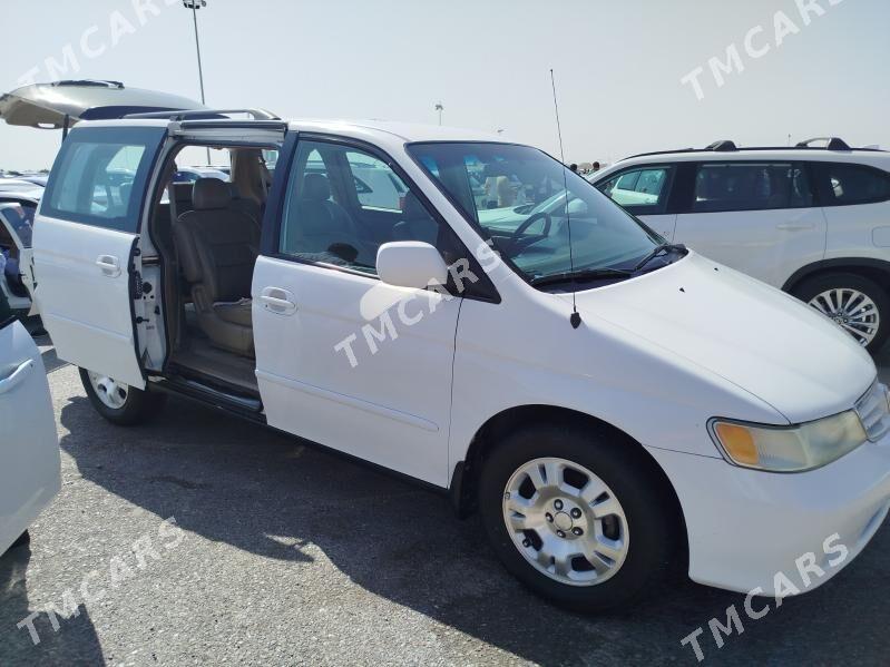 Honda Odyssey 2003 - 140 000 TMT - Ашхабад - img 3