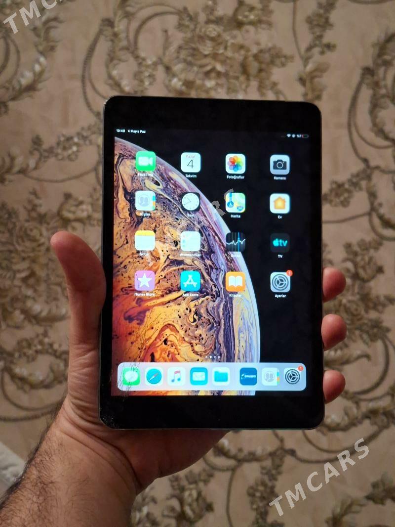 ipad mini 2 - Mary - img 2