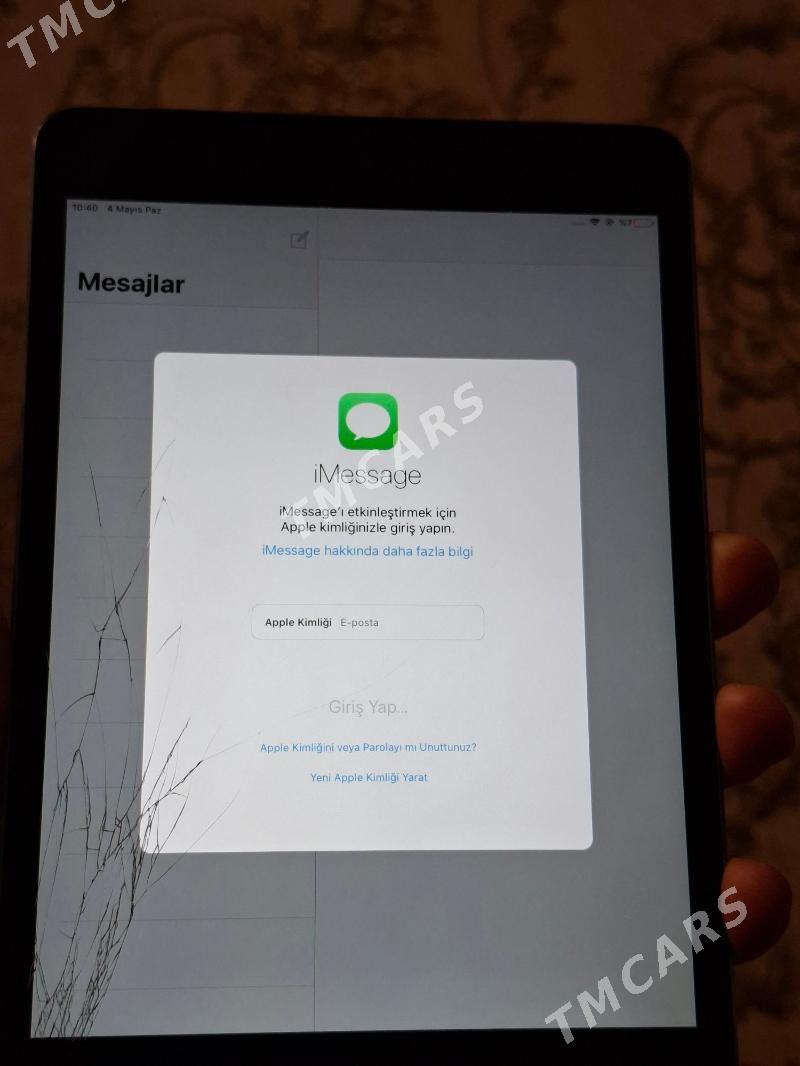 ipad mini 2 - Mary - img 3