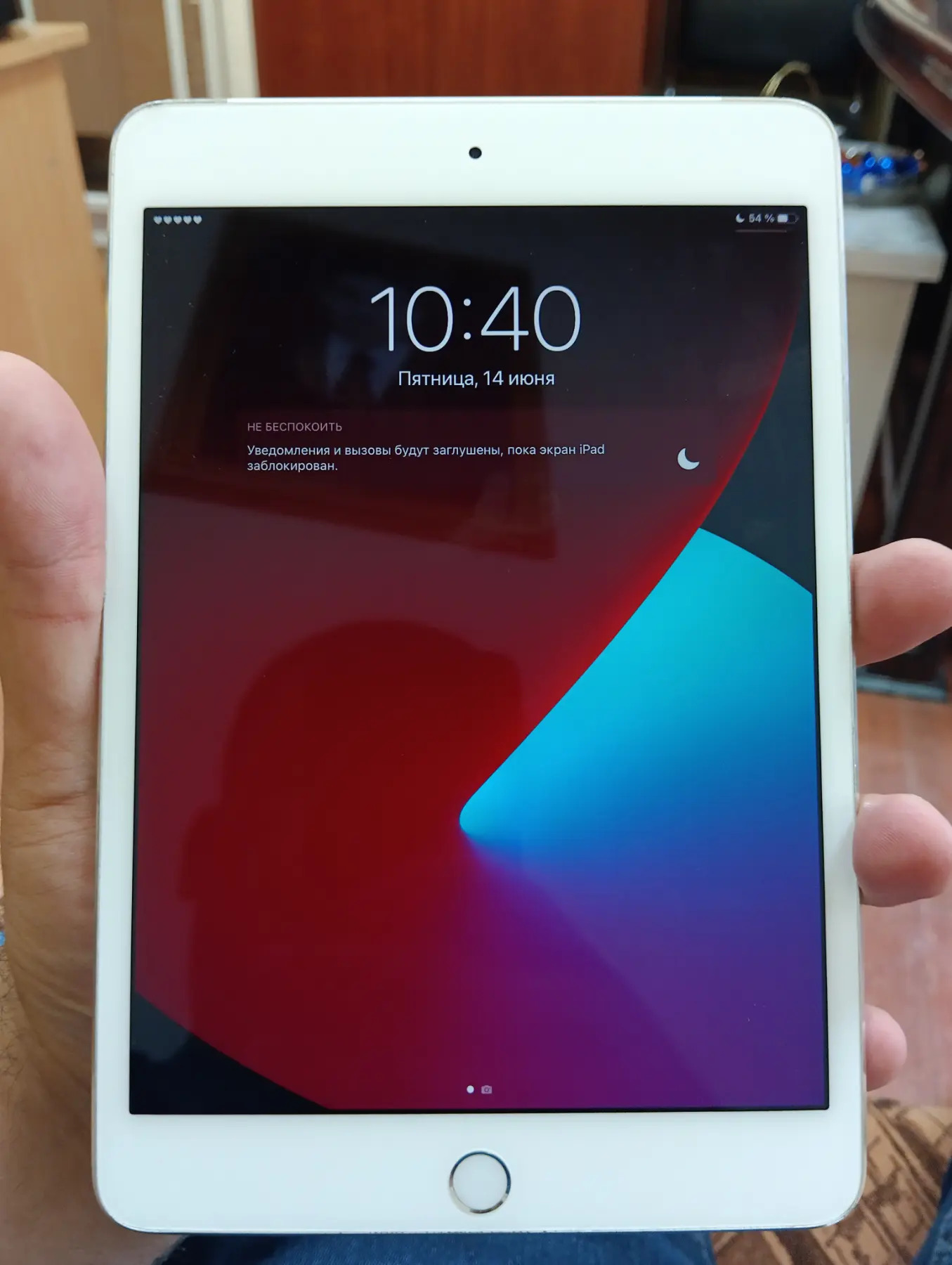 Ipad Mini 4 32gb - Aşgabat - img 4