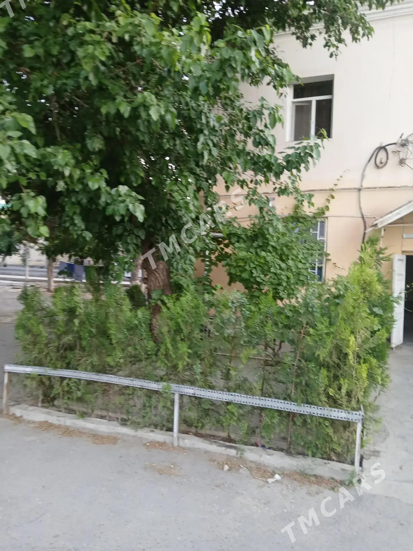 beyik patalok - Aşgabat - img 7