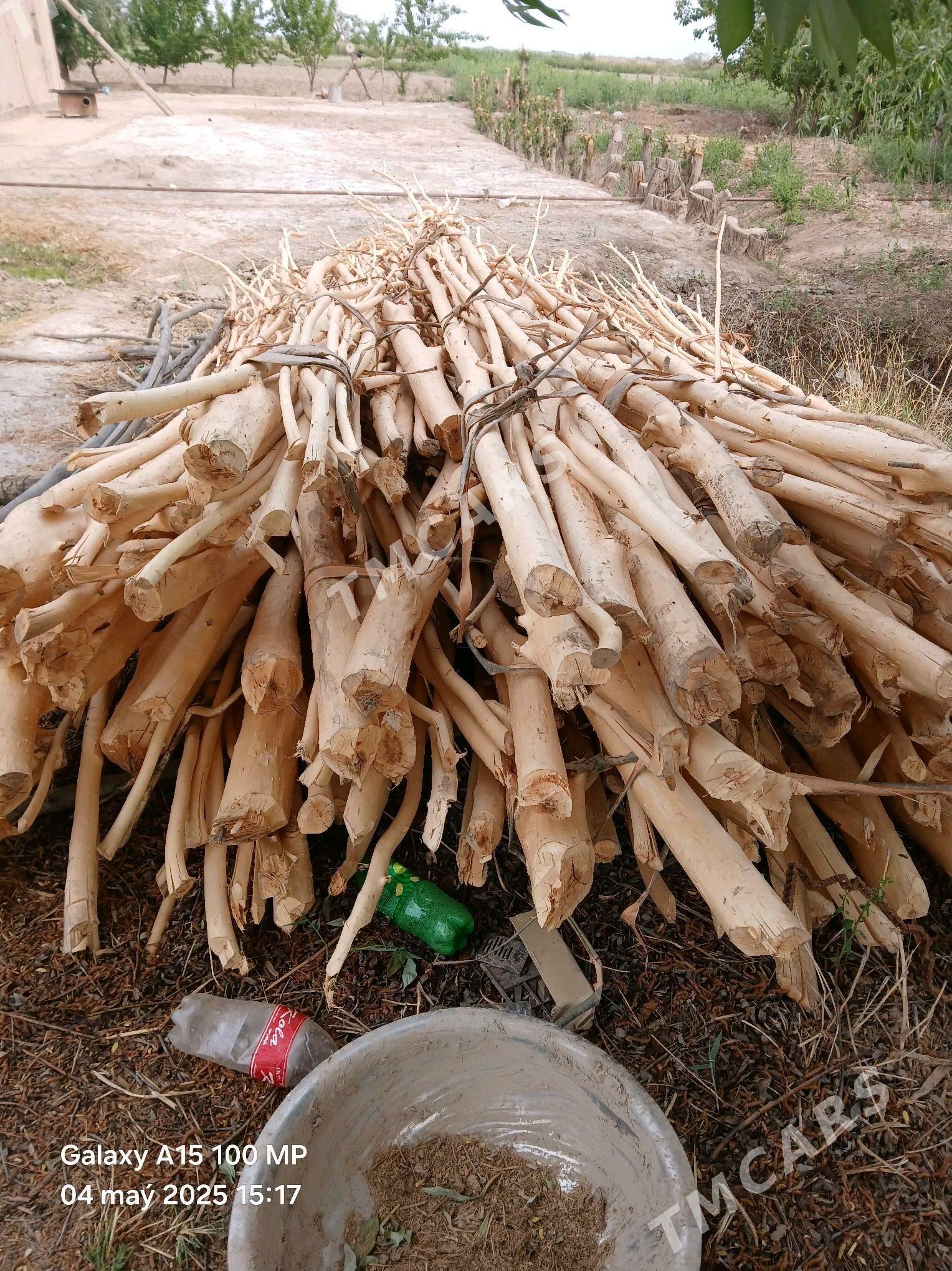 HADA - Boldumsaz - img 2