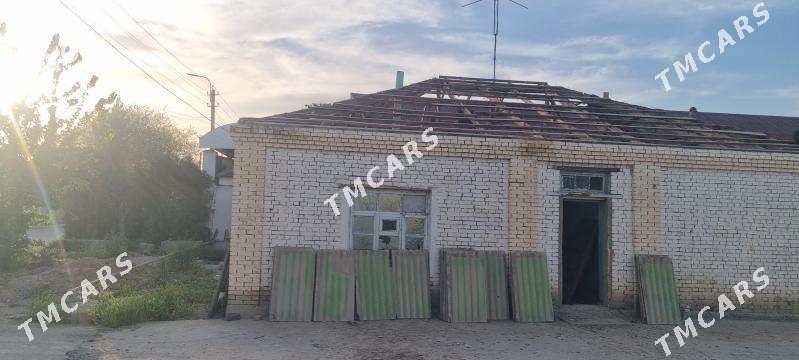 POLLUK AGAC ALYAS - Бедев - img 2