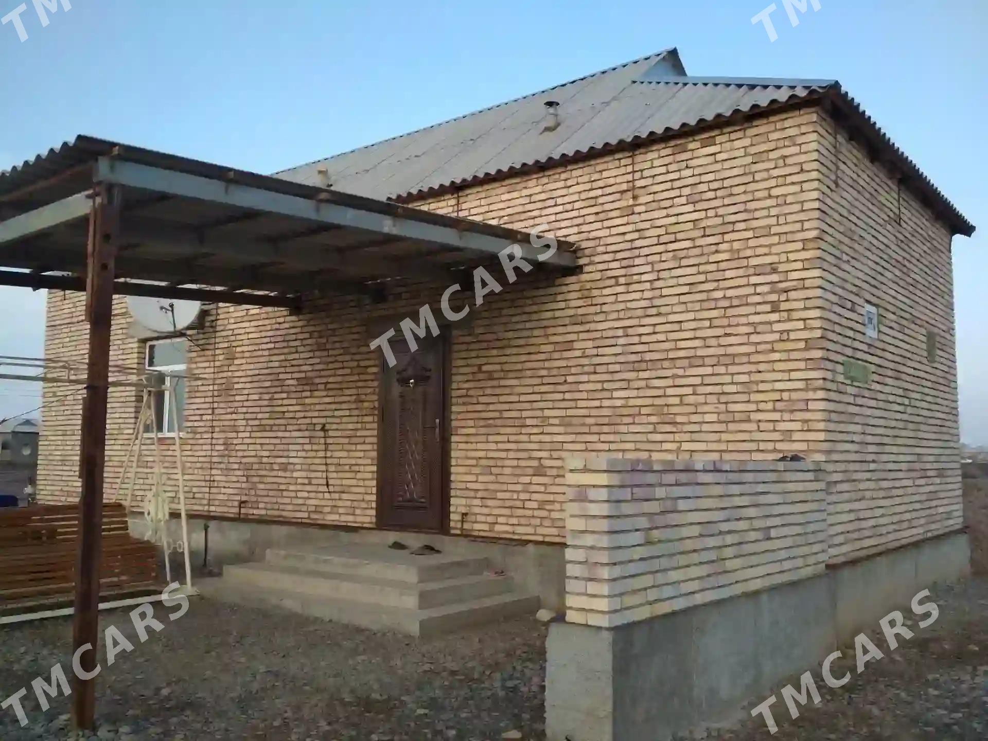 Tejen jay arenda - Tejen - img 3