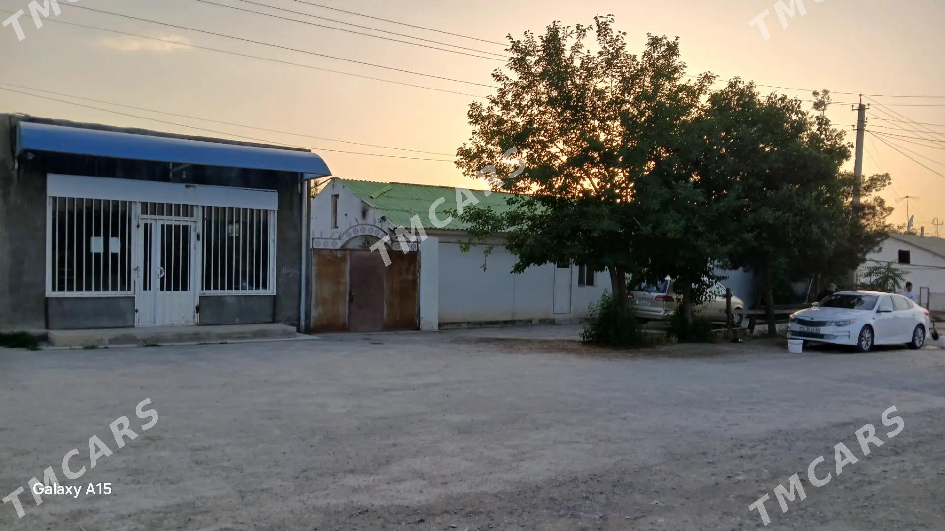 bagyr jay 10 sot 55 - Багир - img 2