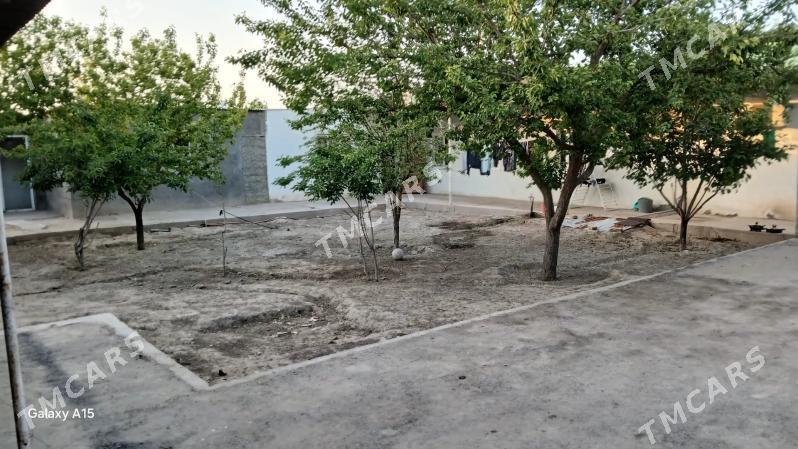 bagyr jay 10 sot 55 - Багир - img 3