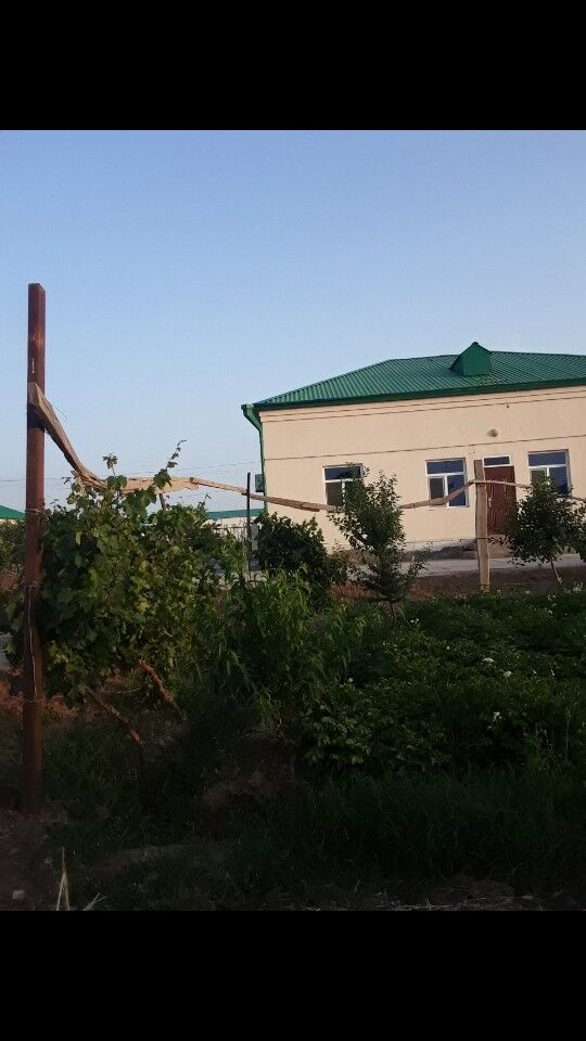 ЖАЙ САТЫЛЯР АЛТЫН САХРА - Тагтабазар - img 3