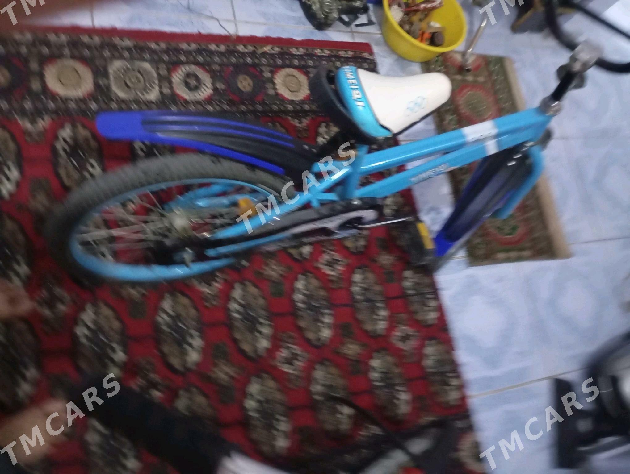 tigir - Aşgabat - img 2