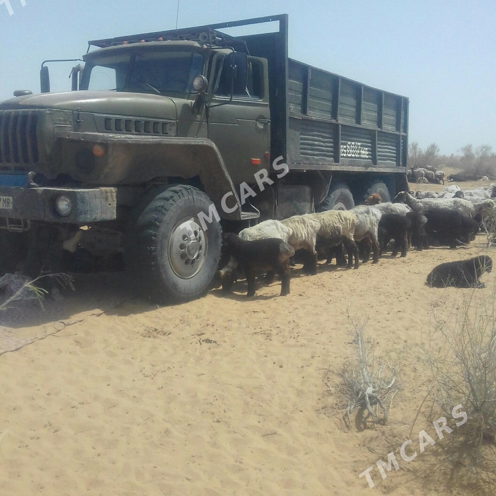 Ural 4320 1980 - 150 000 TMT - Сакарчага - img 2