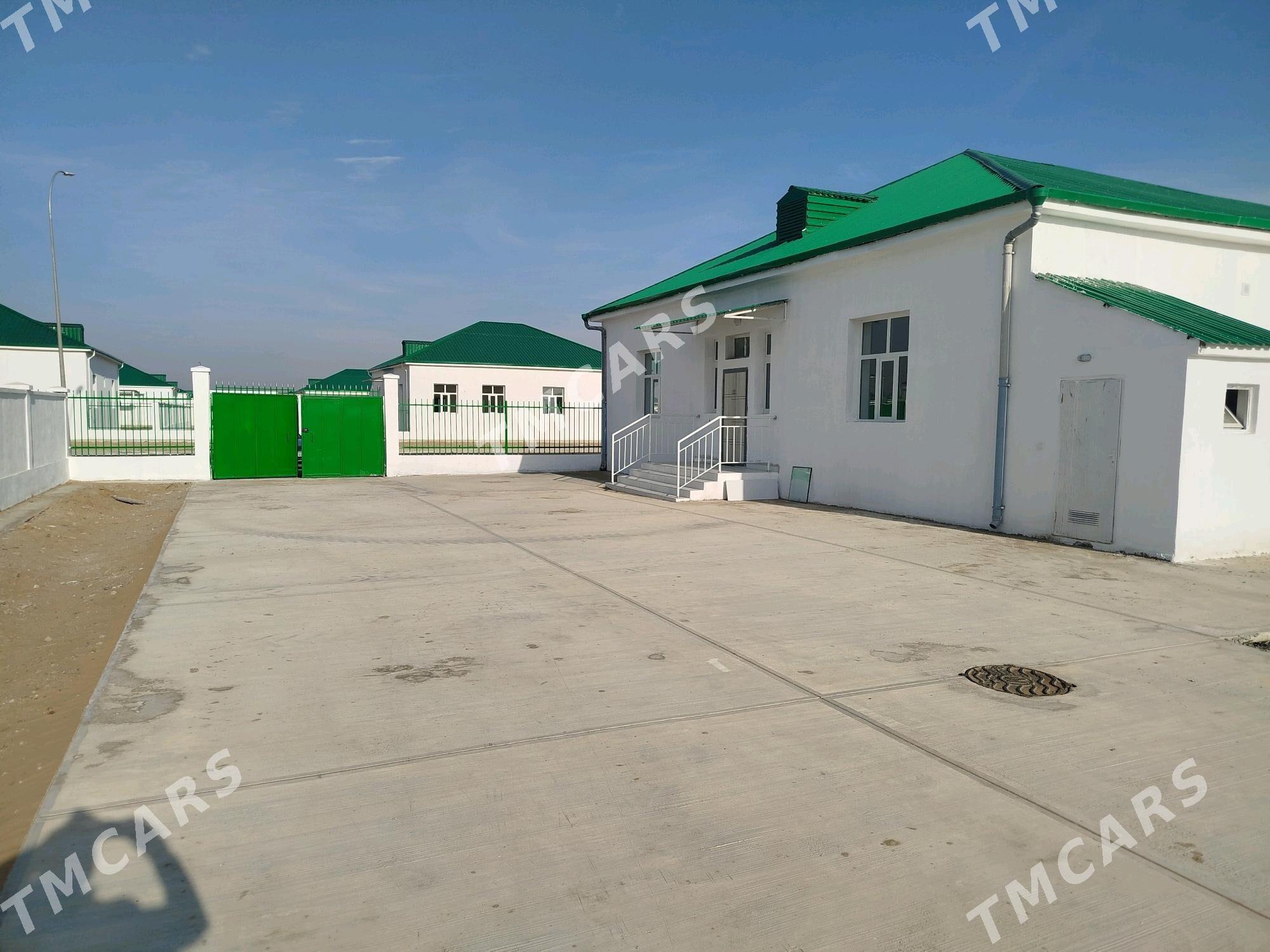 korcay 30 yylyk - Анев - img 2