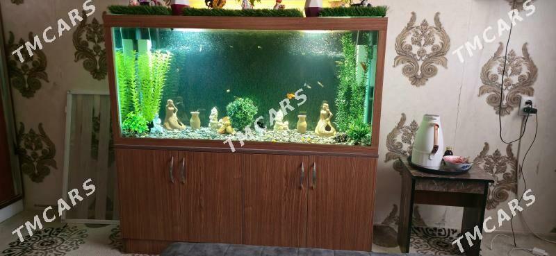 аквариум akvarium - Мары - img 2