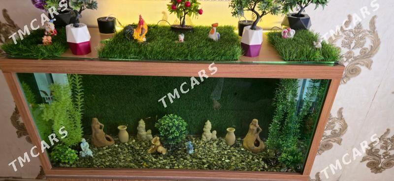 аквариум akvarium - Мары - img 3