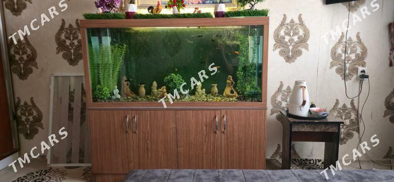 аквариум akvarium - Мары - img 4