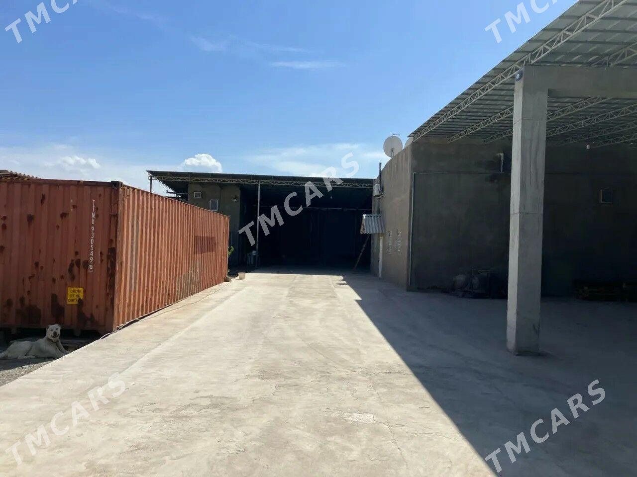 Arenda sklat onumcilik yer - Ашхабад - img 2