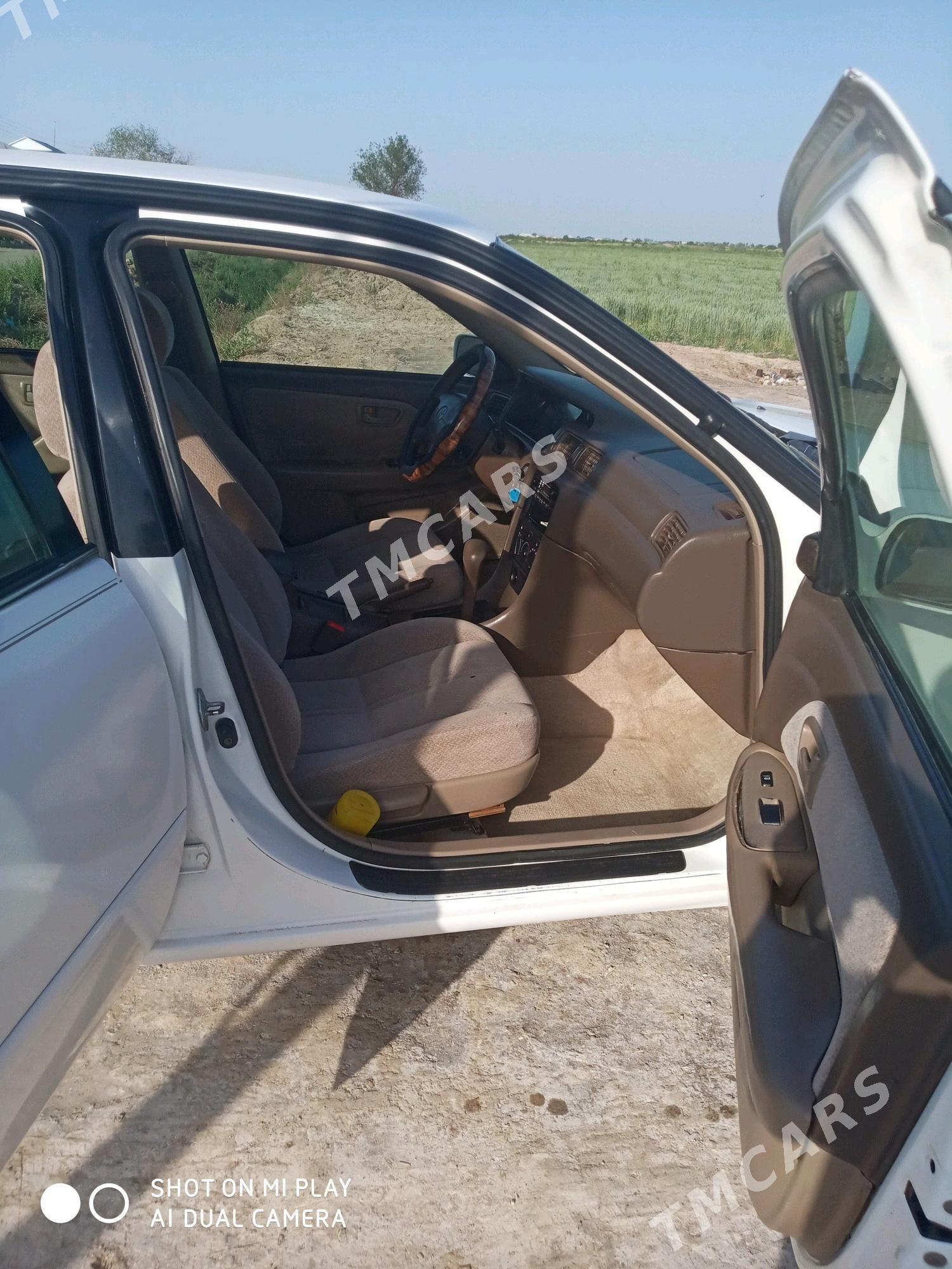 Toyota Camry 2000 - 140 000 TMT - Гурбансолтан Едже - img 5